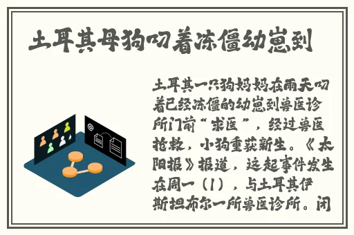 娇小videodes性灵HD